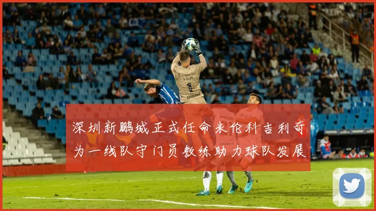 深圳新鹏城正式任命米伦科吉利奇为一线队守门员教练助力球队发展