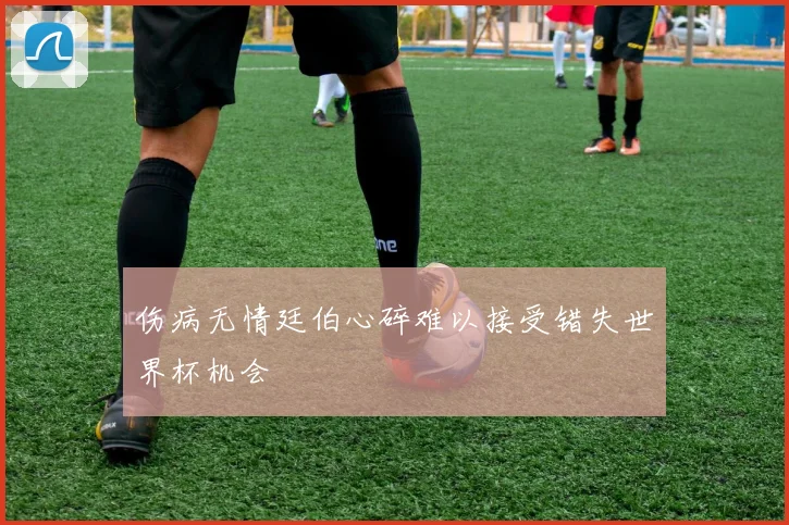伤病无情廷伯心碎难以接受错失世界杯机会